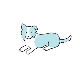 手書きの線画可愛い犬シリーズ　ボーダーコリー