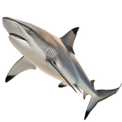 Fototapeta premium Blacktip Shark AI Generated Image
