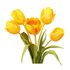 yellow tulips isolated on a transparent white background © PNG City