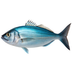 Bluefish AI Generated Image