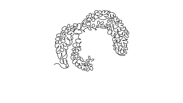 Animated self drawing of continuous line draw beauty fresh hydrangea for home art wallpaper decor poster print. Decorative hortensia flower concept invitation card. Full length single line animation