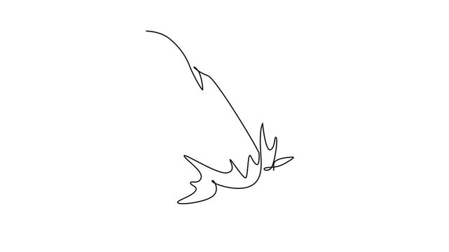 Self drawing animation of single line draw beauty fresh brugmansia for home decor wall art poster print. Decorative angel trumpet flower for greeting card. Continuous line draw. Full length animated