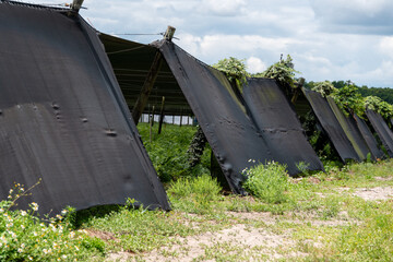 Black shade nets cover rows of vegetables on a farm. The black netting hangs over wooden frames protecting them from UV rays and providing warmth from the cold.The nylon awning is used in agriculture.