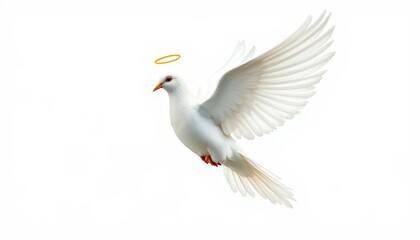 Fototapeta premium White Dove in Flight with Halo Peaceful Spiritual Image