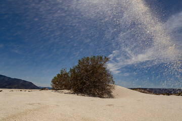 The Gypsum Dunes of Cuatro Ci&eacute;negas, the unusual white desert of Coahuila, Mexico