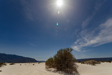 The Gypsum Dunes of Cuatro Ci&eacute;negas, the unusual white desert of Coahuila, Mexico