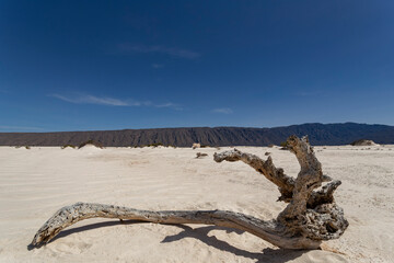 The Gypsum Dunes of Cuatro Ci&eacute;negas, the unusual white desert of Coahuila, Mexico