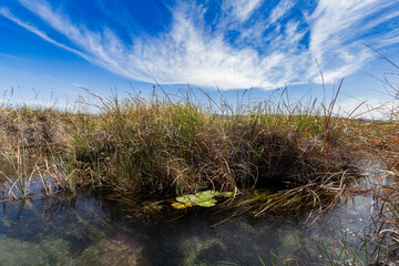 La Poza Azul de Cuatro Ciénegas, a crystalline oasis in the desert, Coahuila Mexico