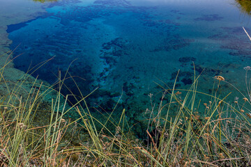 La Poza Azul de Cuatro Ci&eacute;negas, a crystalline oasis in the desert, Coahuila Mexico