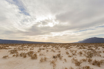 The Cuatro Ci&eacute;nagas natural reserve, one of the most important wetlands in the world, Coahuila Mexico