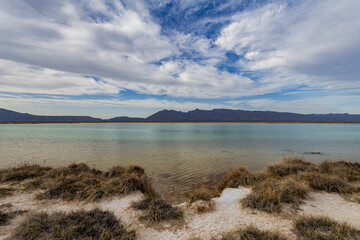 The Cuatro Ciénagas natural reserve, one of the most important wetlands in the world, Coahuila Mexico