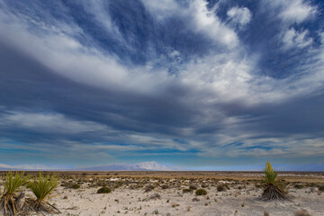 The Cuatro Ci&eacute;nagas natural reserve, one of the most important wetlands in the world, Coahuila Mexico