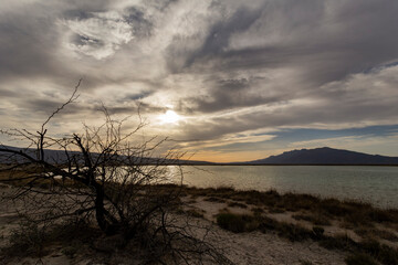 The Cuatro Ci&eacute;nagas natural reserve, one of the most important wetlands in the world, Coahuila Mexico