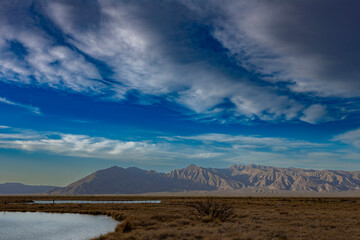 The Cuatro Ci&eacute;nagas natural reserve, one of the most important wetlands in the world, Coahuila Mexico