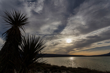 The Cuatro Ciénagas natural reserve, one of the most important wetlands in the world, Coahuila...