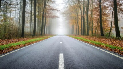 Fototapeta premium Misty Forest Road