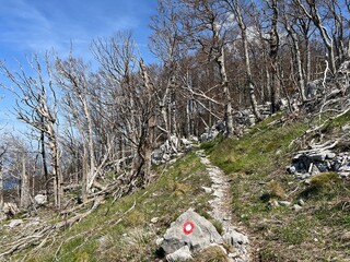 Premuzic hiking trail or Premuzic Trail - Northern Velebit National Park, Croatia or Premuzic-Wanderweg or Premuzic's Trail (Pješački planinarski put Premužićeva staza - NP Sjeverni Velebit, Hrvatska)