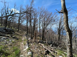 Premuzic hiking trail or Premuzic Trail - Northern Velebit National Park, Croatia or Premuzic-Wanderweg or Premuzic's Trail (Pješački planinarski put Premužićeva staza - NP Sjeverni Velebit, Hrvatska)