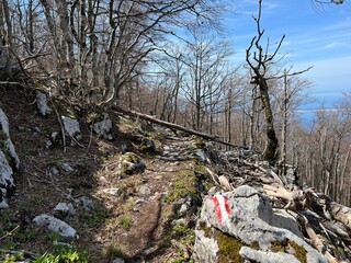 Premuzic hiking trail or Premuzic Trail - Northern Velebit National Park, Croatia or Premuzic-Wanderweg or Premuzic's Trail (Pješački planinarski put Premužićeva staza - NP Sjeverni Velebit, Hrvatska)