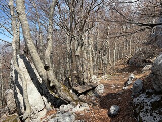 Premuzic hiking trail or Premuzic Trail - Northern Velebit National Park, Croatia or Premuzic-Wanderweg or Premuzic's Trail (Pješački planinarski put Premužićeva staza - NP Sjeverni Velebit, Hrvatska)