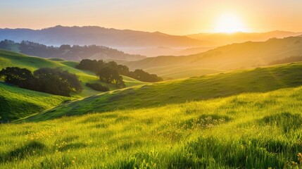 Fototapeta premium Golden sunlight casts a warm glow on lush green hills and scattered trees at sunset, creating a peaceful and picturesque setting