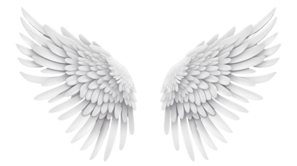 White Angel Wings on a transparent background