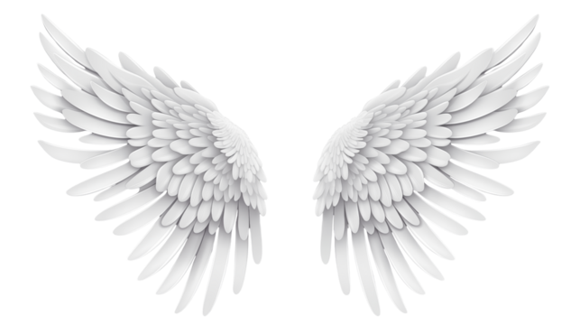 White Angel Wings on a transparent background