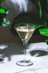 Dry Martini, alcoholic cocktail drink with gin, vermouth, bitters. Marble table in bar with green plants