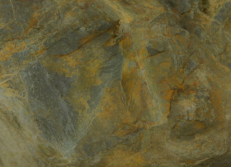 Rock Along the Seashore