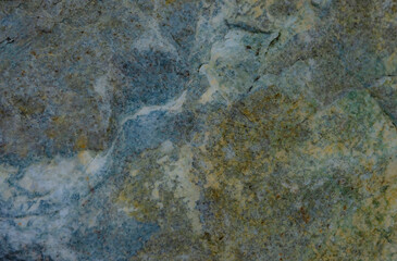 Rock Along the Seashore