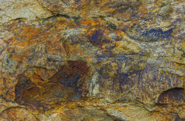 Rock Along the Seashore