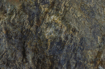 Rock Along the Seashore