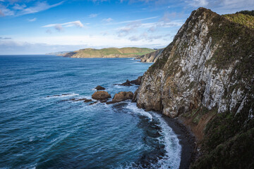 Majestic Coastal Cliffs at Nugget Point, New Zealand