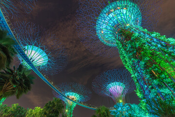 Futuristic Gardens with Illuminated Structures of Garden by the bay at Night