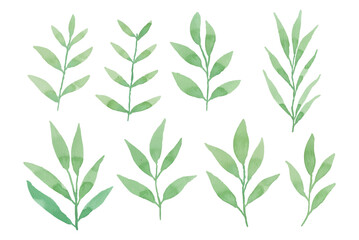 Assortment of watercolor leaves illustration set - green leaf branches collection for wedding, greetings, stationary, wallpapers, fashion, background. olive, green leaves, Eucalyptus etc	