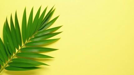 Fototapeta premium Vibrant Green Palm Frond on a Sunny Yellow Background, Perfect for Summer Designs and Tropical Themed Projects