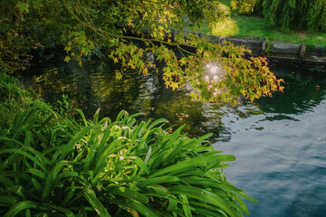 Vibrant Autumn Colors Along Avon River in Christchurch, New Zealand