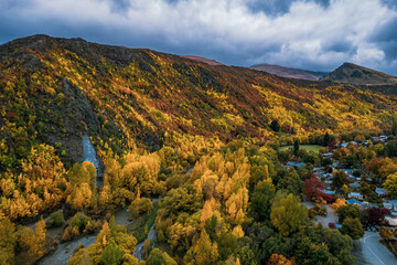 Fototapeta premium Golden Autumn Splendor in Arrowtown, New Zealand: Aerial Views