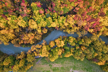 Golden Autumn Splendor in Arrowtown, New Zealand: Aerial Views
