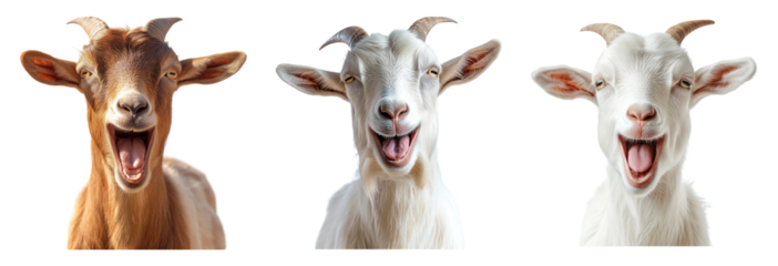 Happy Goats with Big Smiles Isolated on Transparent Background