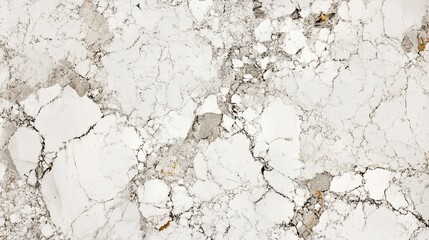 Obraz premium Seamless White Marble Background with Light Gray Vein Detailing