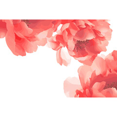 Peony border illustration background flowers vector