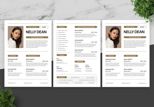 Beige And White Resume