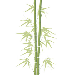 Obraz premium Bamboo tree illustration minimalist botanical vector