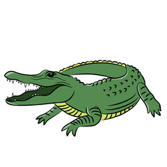 cartoon vector crocodile isolated on white background. reptile animal
