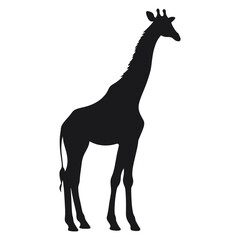 Fototapeta premium Giraffe silhouette illustration wildlife animal vector