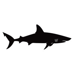 Obraz premium Shark silhouette illustration black white vector