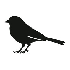 Obraz premium Bird silhouette illustration black white vector