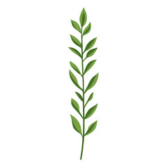 Fototapeta premium Flat vector of wild grass leaf illustration green vector