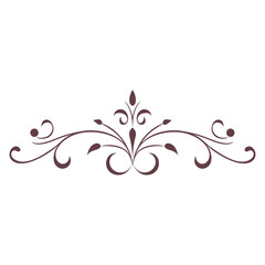 Ornament divider floral pattern decorative ornamental vector